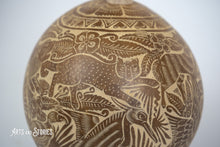 Load image into Gallery viewer, Jicara Naturel Jungle 7"